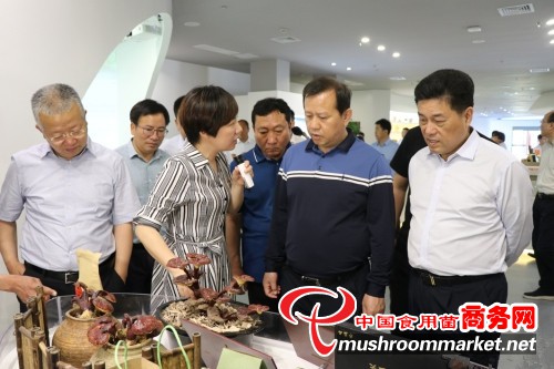 甘肃省武威市党政代表团赴福建省古田县考察学习食用菌产业发展情况