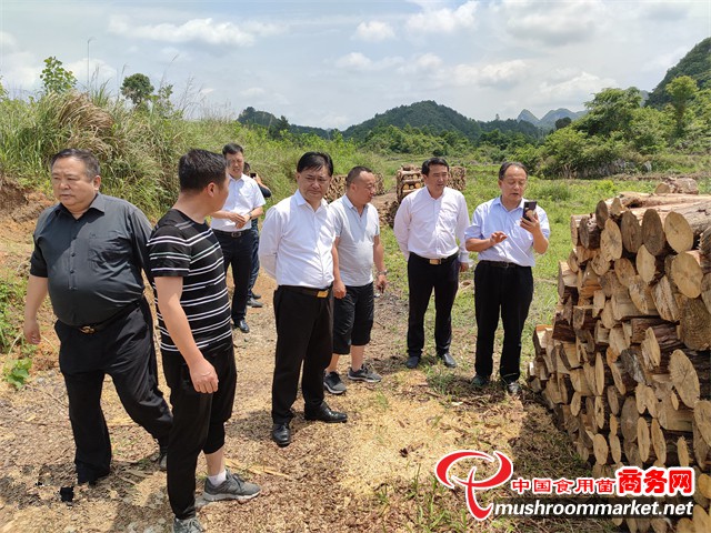 “茯苓大王”王先有前往贵州省黔南州平塘、独山县进行实地投资考察