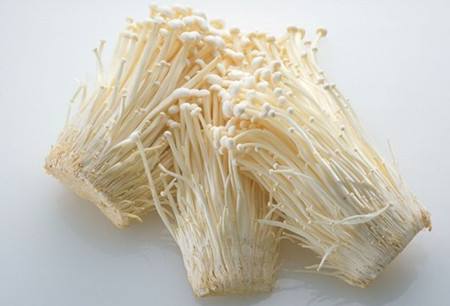 金针菇为什么在冰箱中还会继续生长？不是激素不是激素不是激素！重要的事情说三遍！