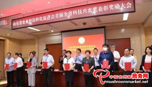 山东省聊城市农科院食用菌种质技术创新中心获省首届科技兴农先进集体奖