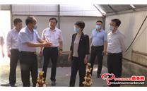 山东： 聊城市委副书记、市长李长萍到冠县调研灵芝产业发展情况