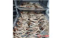 福建省建宁县：种植茶树菇 铺就致富路