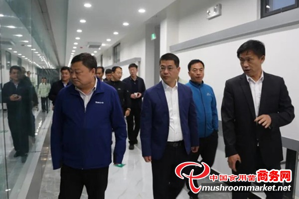 【乡村振兴】吉林省乡村振兴局领导莅临梅河口市调研