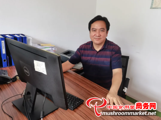 福建尤溪县农业科学研究所所长杨彬：坚定不移发展黑木耳种植 助农引来产业致富“活水”