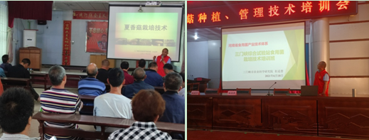 河南省三门峡市综合试验站深入乡村举行香菇栽培技术培训会