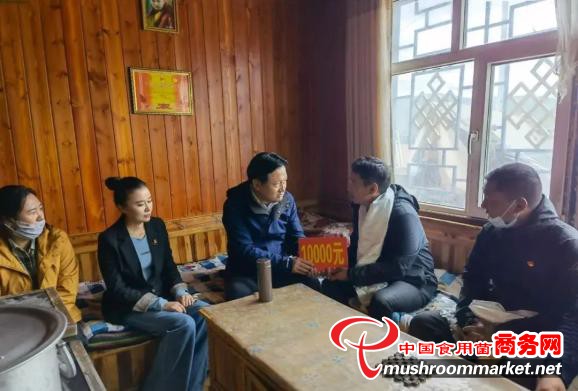 青海省玉树州杂多县工作组赴玉树市、囊谦县慰问虫草采集驻点工作人员