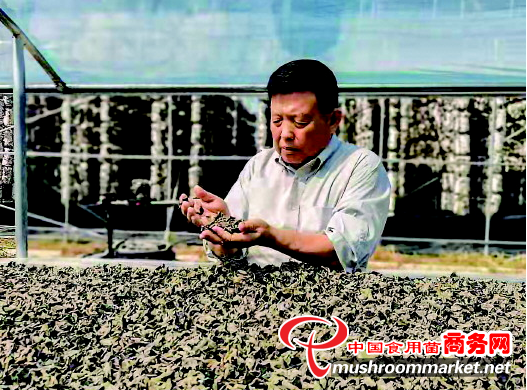 “蘑菇院士”李玉：菌物研究拓荒人 带领农民精准发展食用菌特色产业
