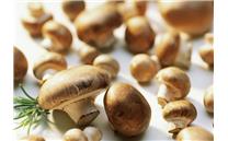蘑菇富含麦角硫因，或可防失智症！