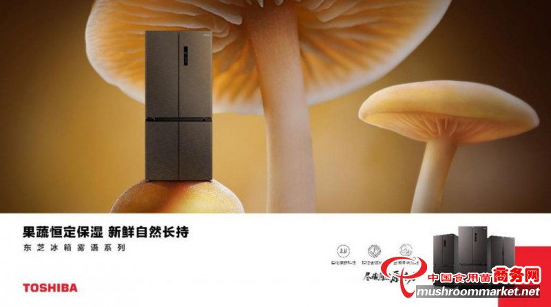炭烤松茸：赴一场夏日之约 这就是高端食材本来的样子