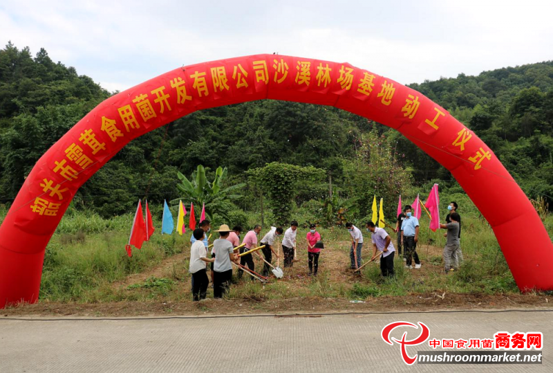 投资2000万元的雪茸生物公司食用菌基地在广东曲江沙溪镇动工