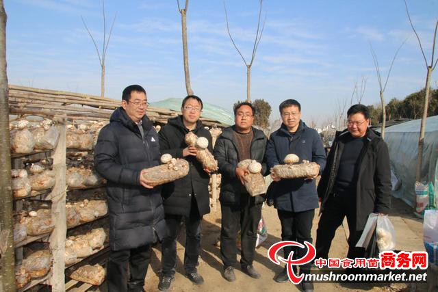 河南省“四优四化”科技支撑行动计划助推泌阳县香菇产业高质量发展