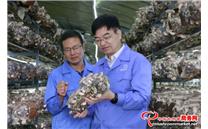 浙江省农业科学院园艺研究所所长蔡为明：推动食用菌产业由“脱贫”产业向“富民”产业转变