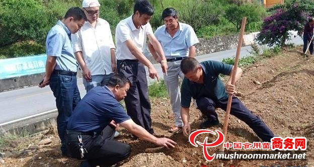 河南省淮滨县工信局精准服务为食用菌企业赋能 助力企业高质量发展