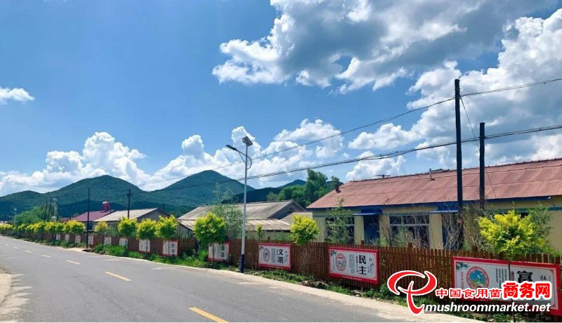 吉林省磐石市取柴河镇积极建设食用菌特色产业小镇