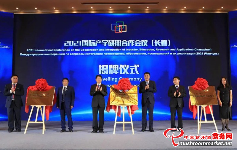 吉林农业大学与俄罗斯科学院食用菌新种质资源创制联合研究中心揭牌仪式顺利举办
