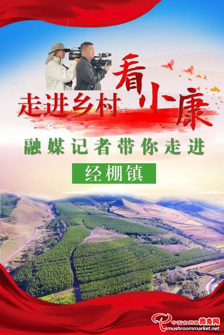 内蒙古经棚镇合意村：探索林下经济发展模式 大球盖菇撑起村民“致富伞”