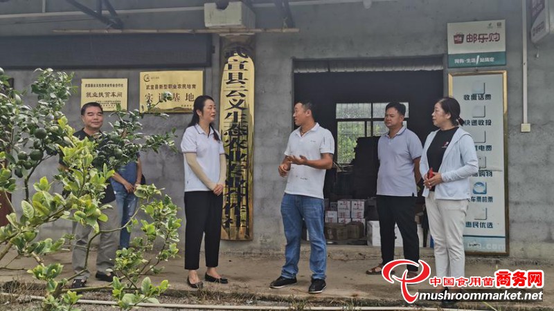 广西壮族自治区农业技术推广站前往来宾市开展食用菌生产调研任务
