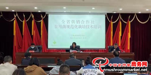 云南省供销合作社理事会副主任李江虹参加省食用菌规范化栽培技术网络培训班并讲话