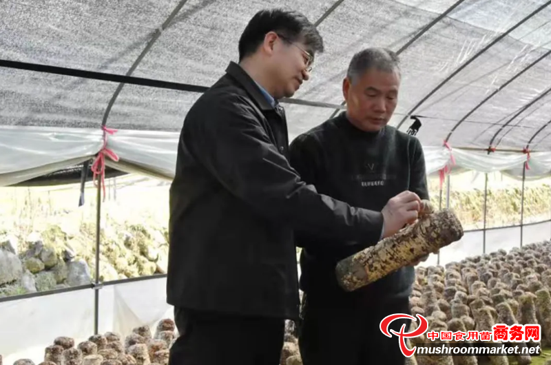 浙江省农科院园艺所副所长蔡为明：把菇农的苦变成甜 让种菇不再是件苦差事