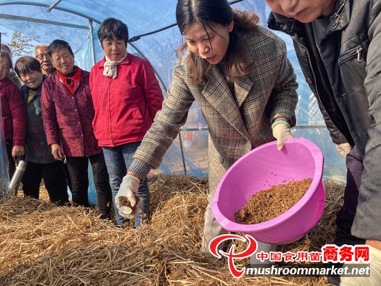 江苏省镇江市句容茅山玉晨村：食用菌产业为乡村振兴增活力