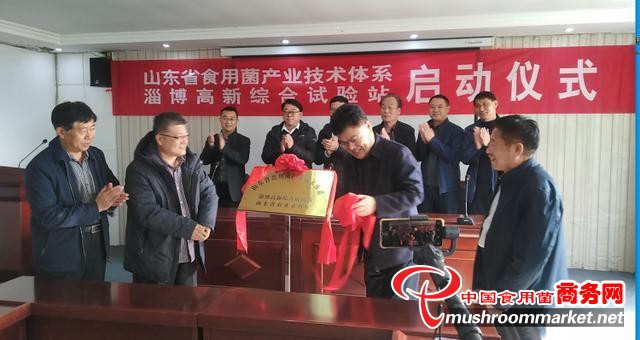 给农业插上科技的翅膀 山东省食用菌产业技术体系综合试验站落户淄博高新区