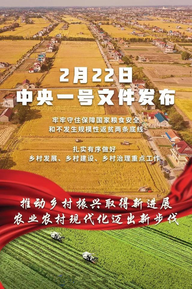 重磅！2022年中央一号文件发布 推动乡村振兴取得新进展