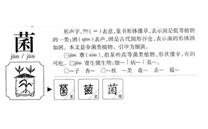 李玉院士趣解“菌”字，提食用菌产业四大定位