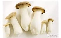 “小蘑菇”圆了致富梦——河北平泉县发展食用